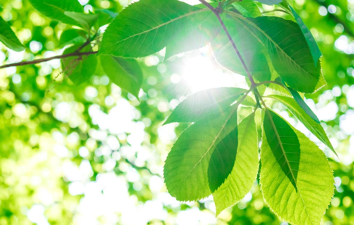 足元から人生を快適に。足に障害を持つ方を、オーダーメイドの医療用靴でサポートいたします。「外反母趾」や「リウマチ」などの場合、保険適応が可能です。