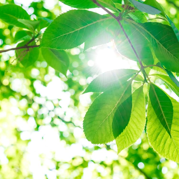 足元から人生を快適に。足に障害を持つ方を、オーダーメイドの医療用靴でサポートいたします。「外反母趾」や「リウマチ」などの場合、保険適応が可能です。